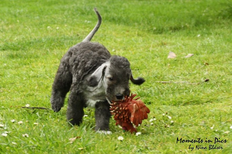 Antares 2009-07-12 (15).JPG